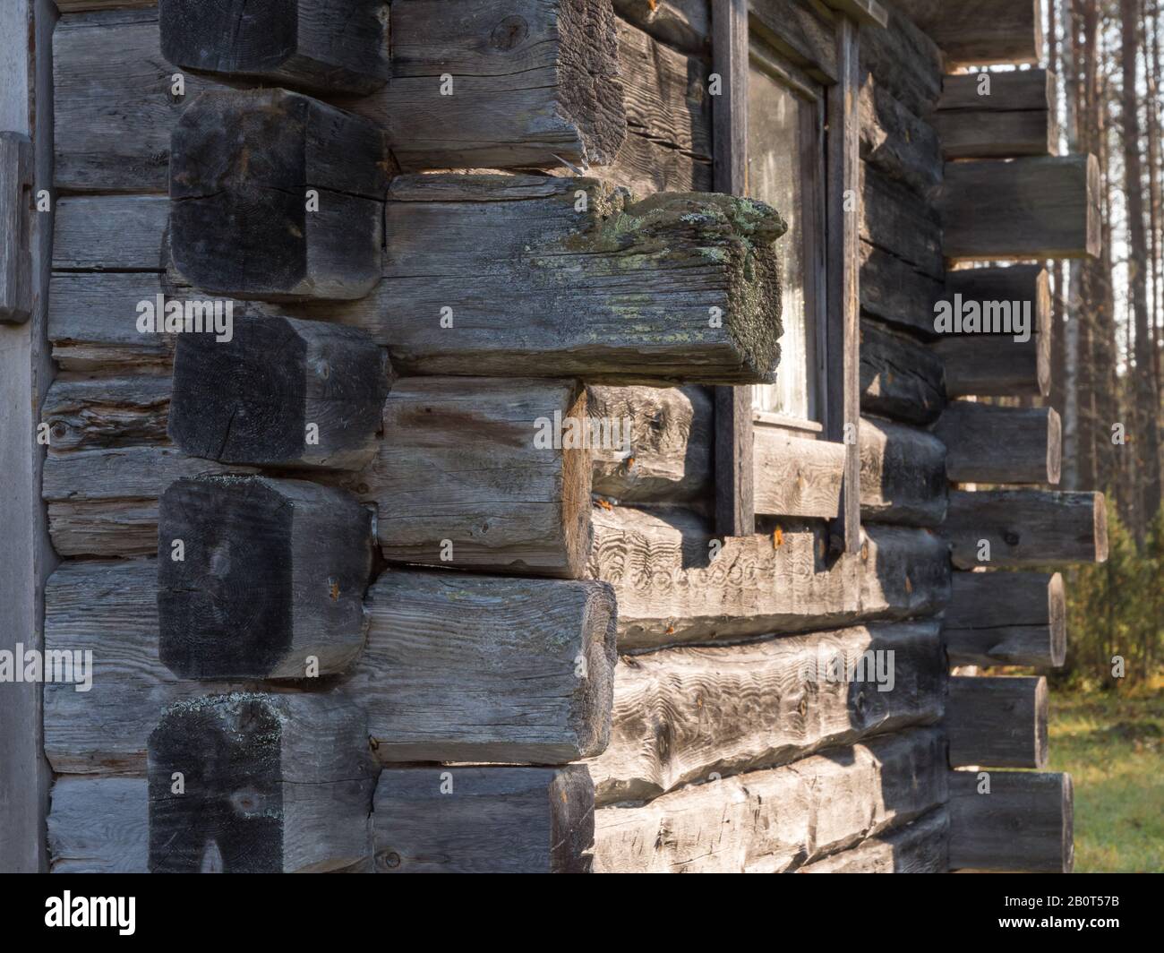Grau gebräunte Blockwand des traditionellen Holzschuppen Stockfoto