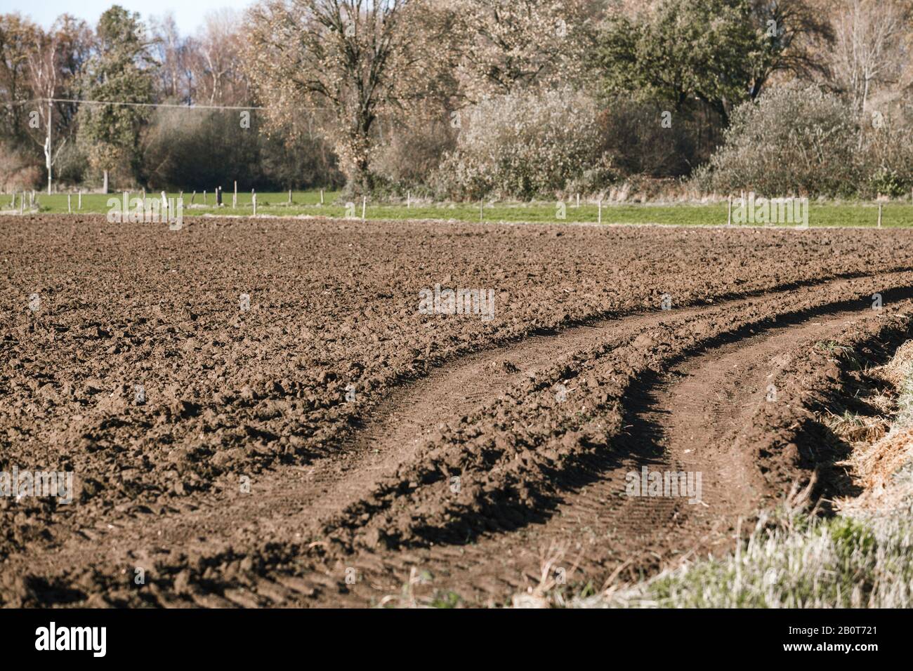 Gepflügten Feldes in der Nähe der Bäume. Die Bäume im Hintergrund eines gepflügten Feldes Stockfoto