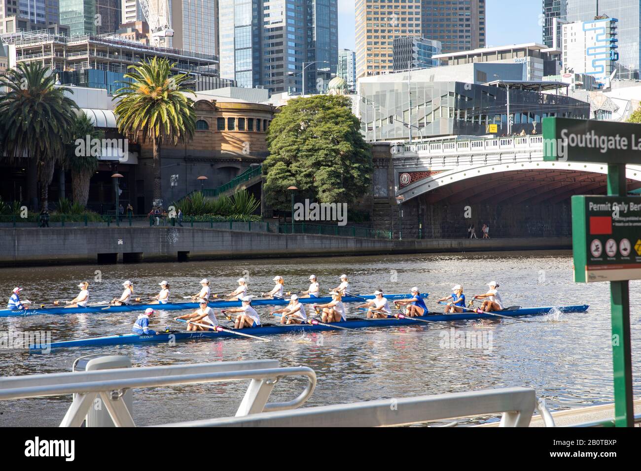Stadtzentrum von Melbourne, Ruderer am yarra River neben der Princes Bridge, Melbourne, Australien Stockfoto