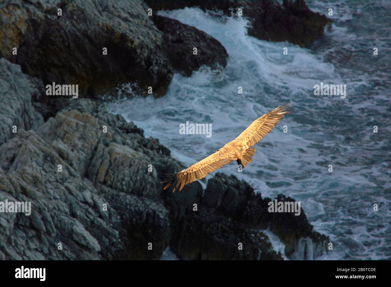 Fliegen über die Rocky Cliffs und Rough Sea Stockfoto