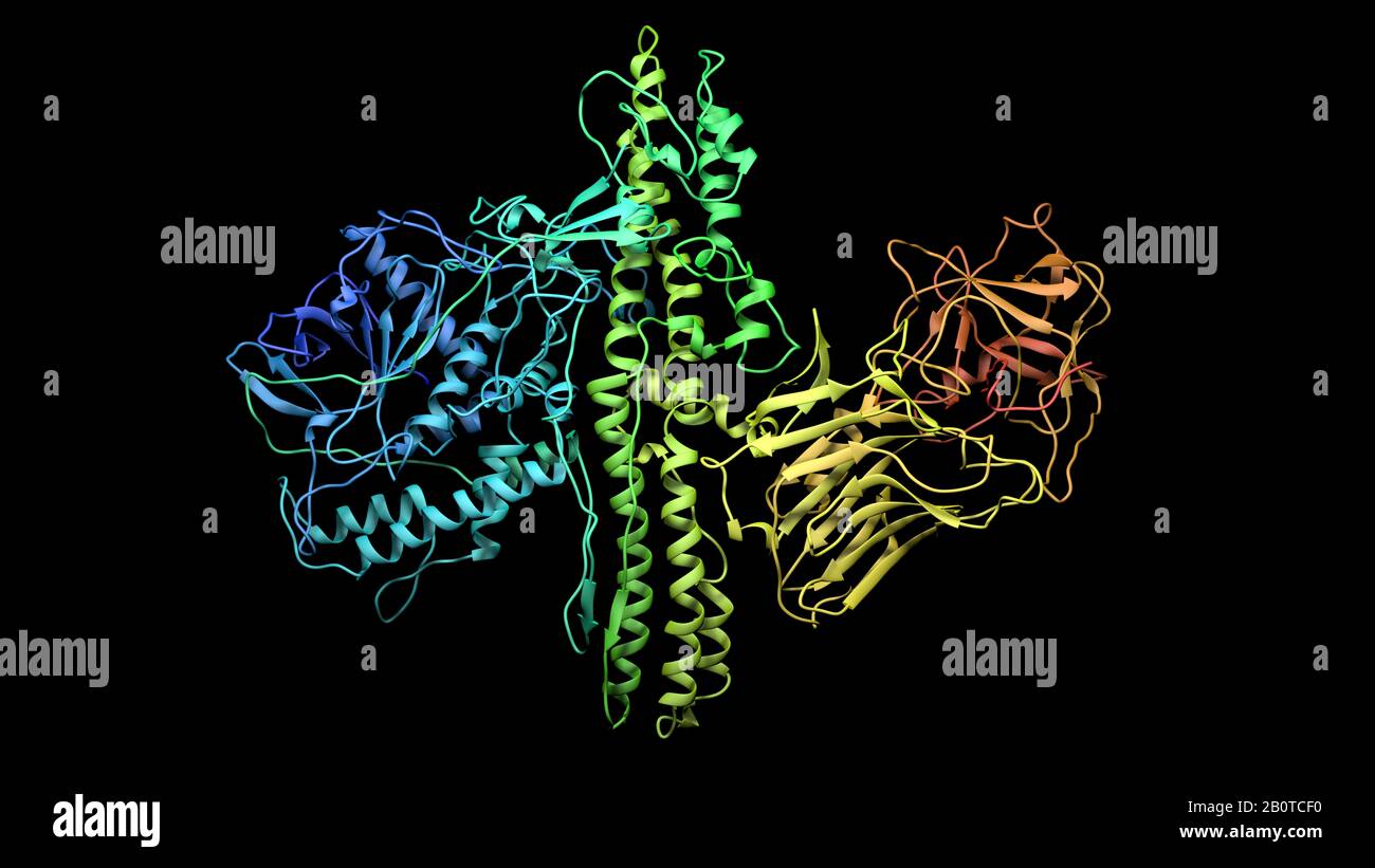 Botulinum toxin clostridium botulinum -Fotos und -Bildmaterial in hoher ...