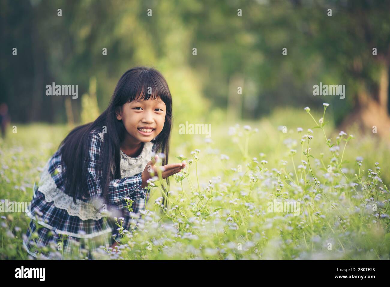 Glückliches kleines Mädchen auf der Wiese Stockfoto
