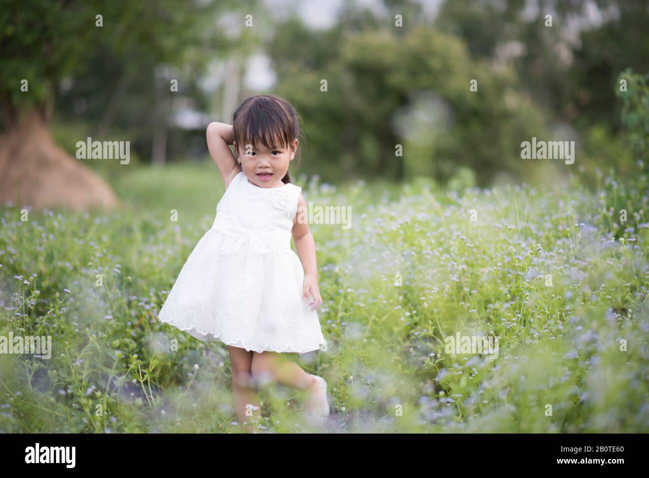 Glückliches kleines Mädchen auf der Wiese Stockfoto