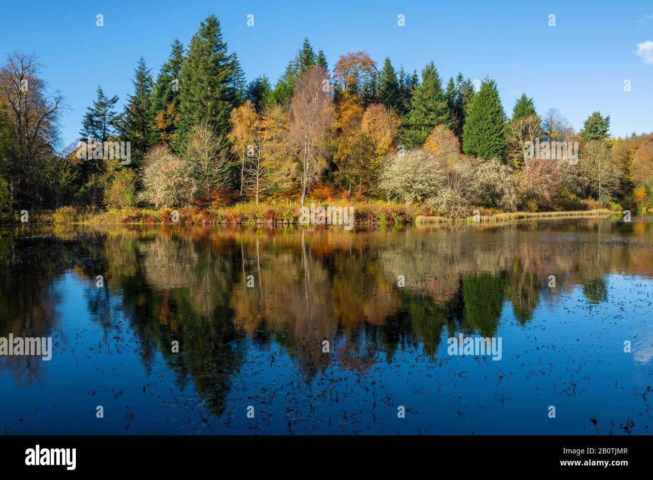 Herbstreflexionen in Penicuik High Pond, Penicuik Estate, Midlothian, Schottland, Großbritannien Stockfoto
