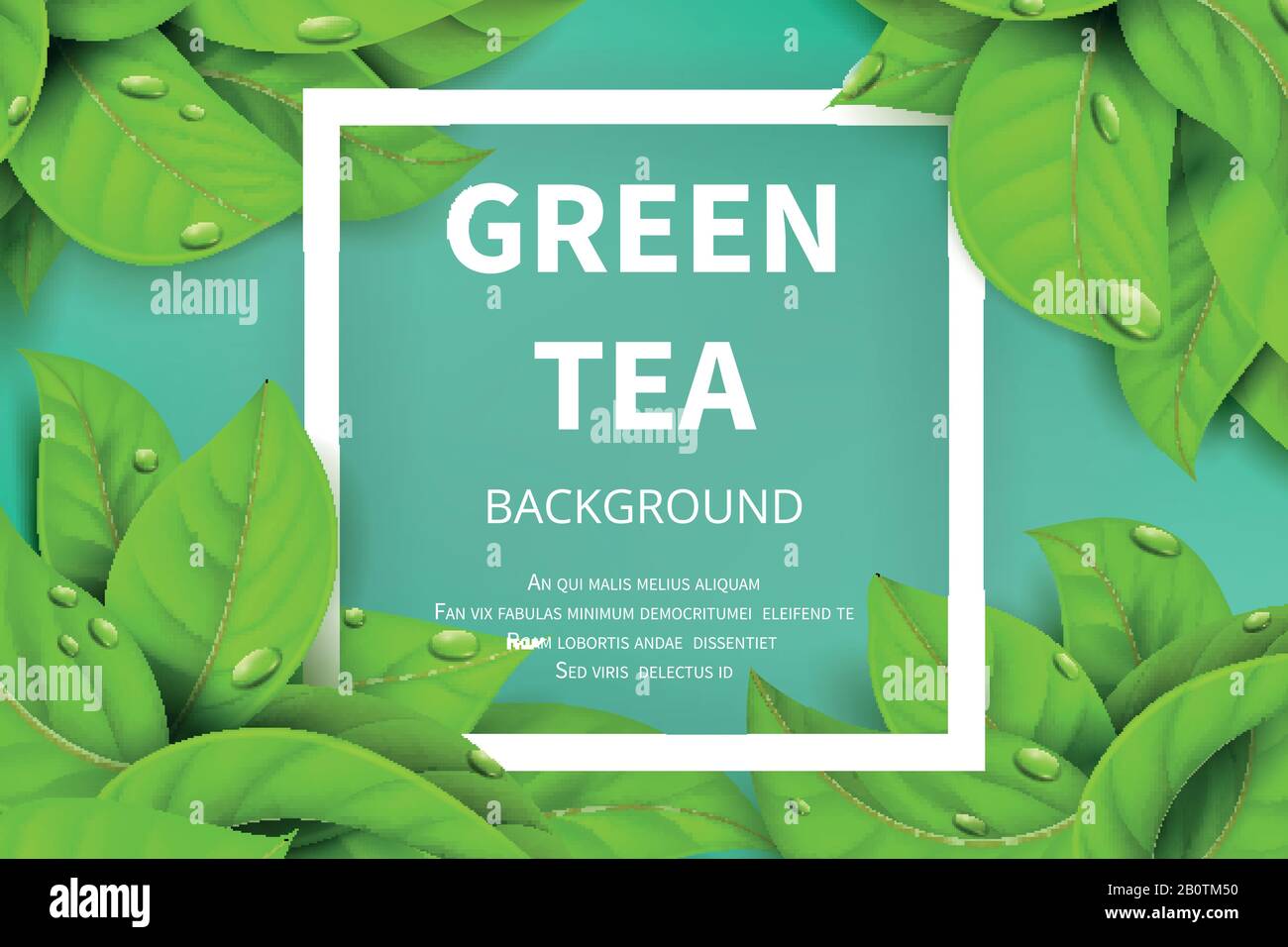 Grüner Tee hinterlässt vektoriellen Naturhintergrund. Grüner Teeshintergrund mit natürlicher Blattdarstellung Stock Vektor