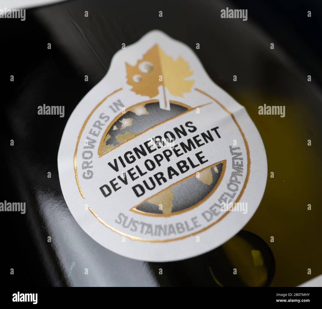 Vignerons Developpement Strapazierfähiges französisches Etikett mit Flaschenhalsausschnitt. Kredit: Malcolm Park/Alamy. Stockfoto