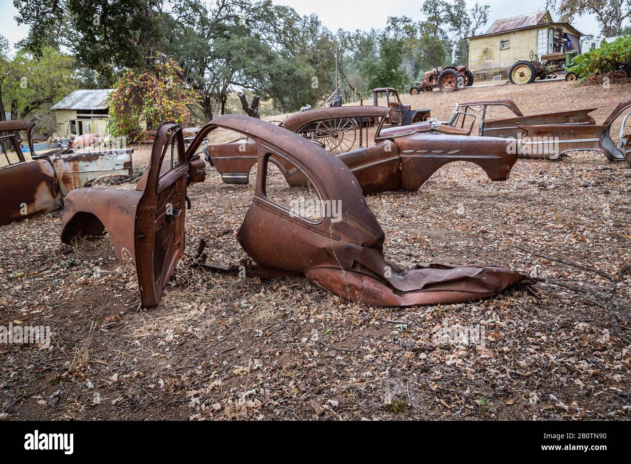 Rostige alte Altautos, die einzigartig als Gartendekoration verwendet wurden. Stockfoto