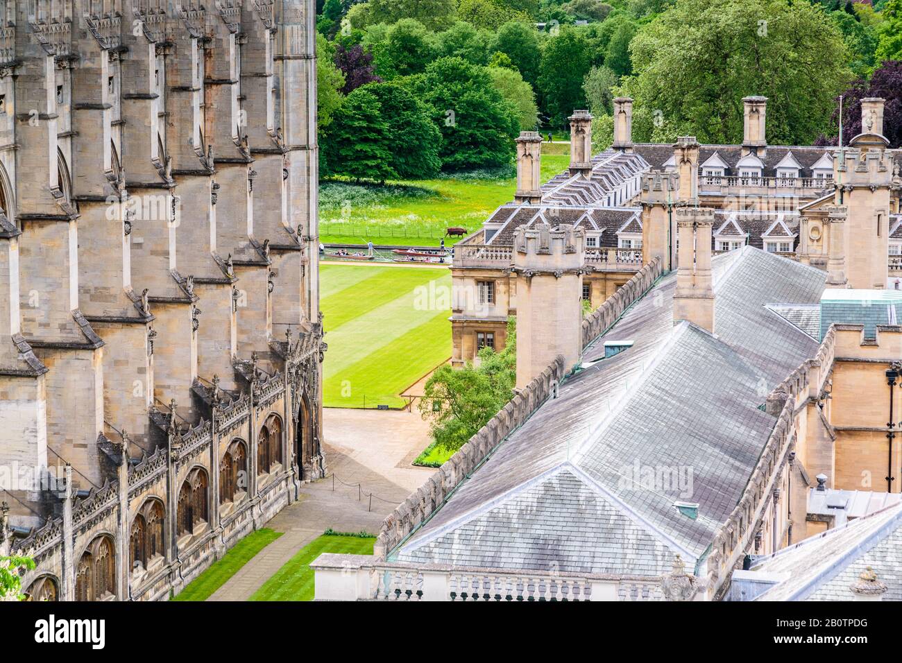 Kunden und EINE einzelne Kuh. Die River Cam & College Gelände von Cambridge. Stockfoto