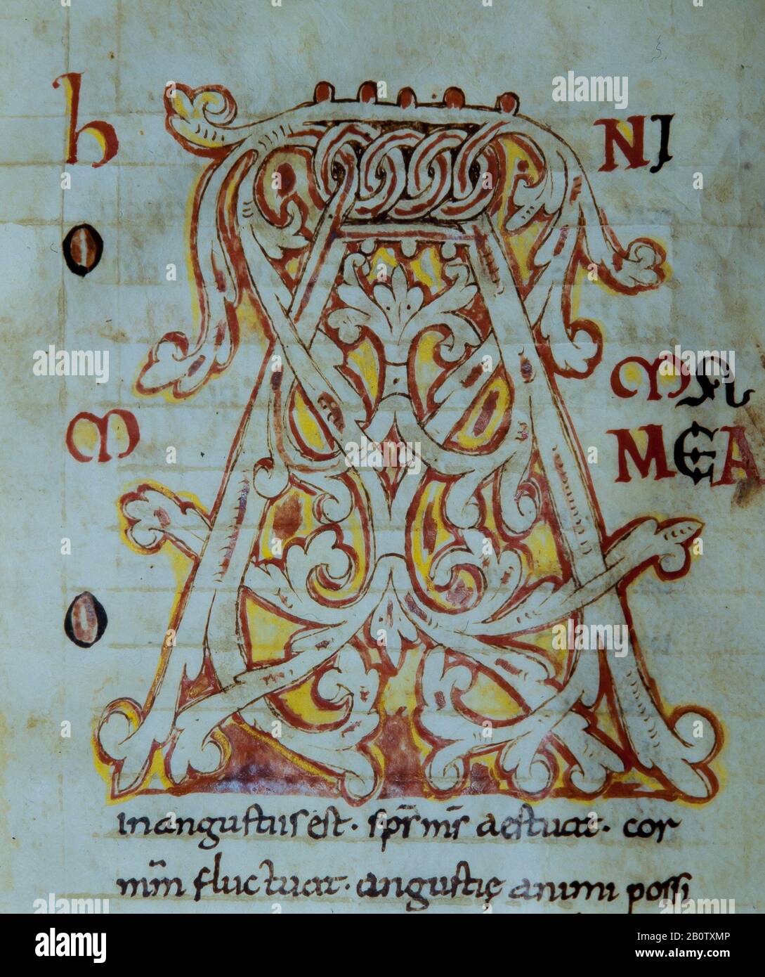 Libro de sinónimos, San Isidoro escrito por Erdemi. Museo Episcopal de Vic. Stockfoto