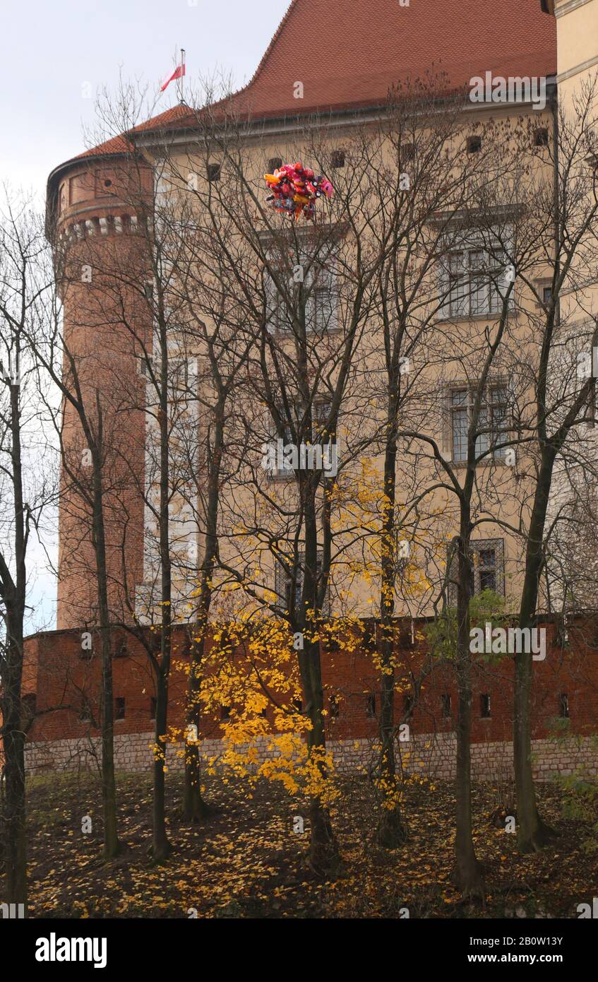 Krakauer. Krakow. Polen. Balonbündel schwebte weg und flockte in einem Baumzweig. Stockfoto