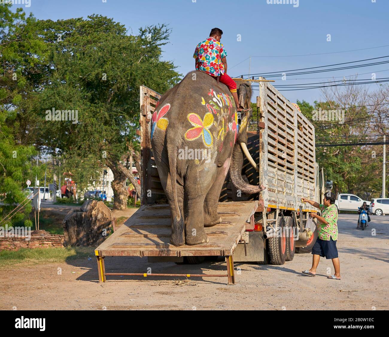 Elefanten gemalt für Songkran Urlaub, das ist Neujahr in Thailand. Stockfoto
