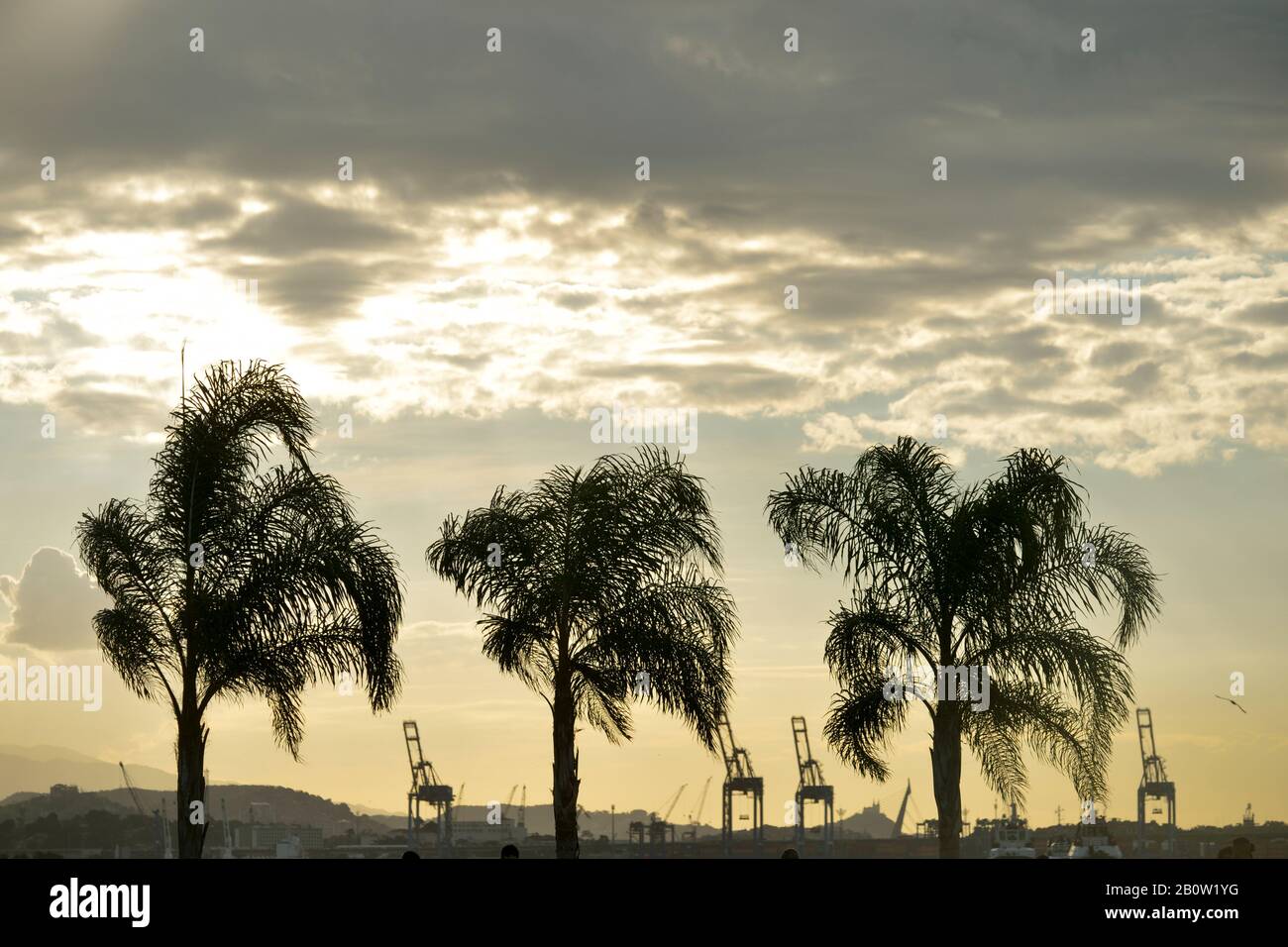 Rio de Janeiro, Brasilien - 1. Mai 2017: Silhouetten von Kokospalmen in der Innenstadt von Rio de Janeiro in der Abenddämmerung Stockfoto