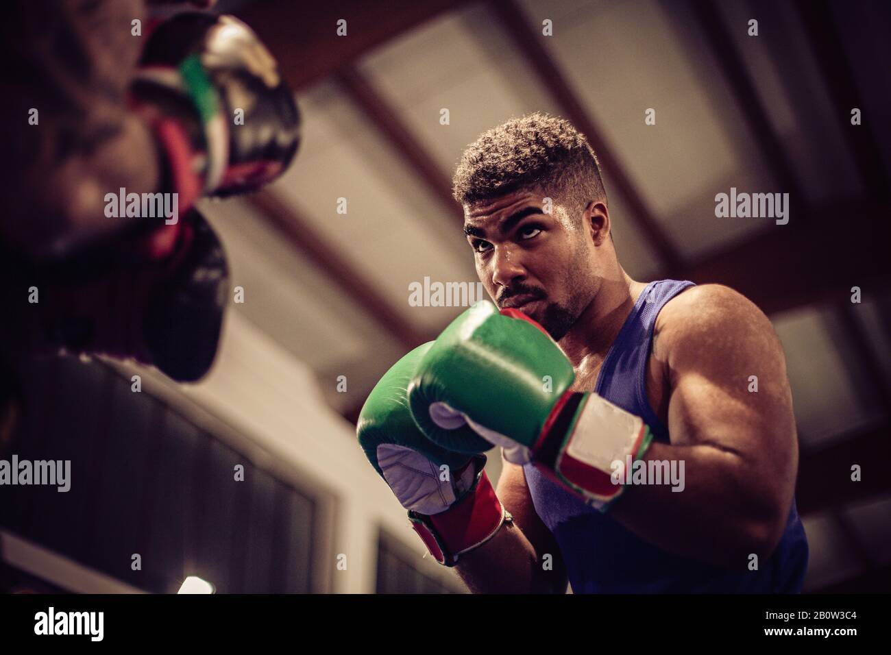 Nahaufnahme des männlichen Boxers mit grünen Boxhandschuhen im Boxring. Stockfoto