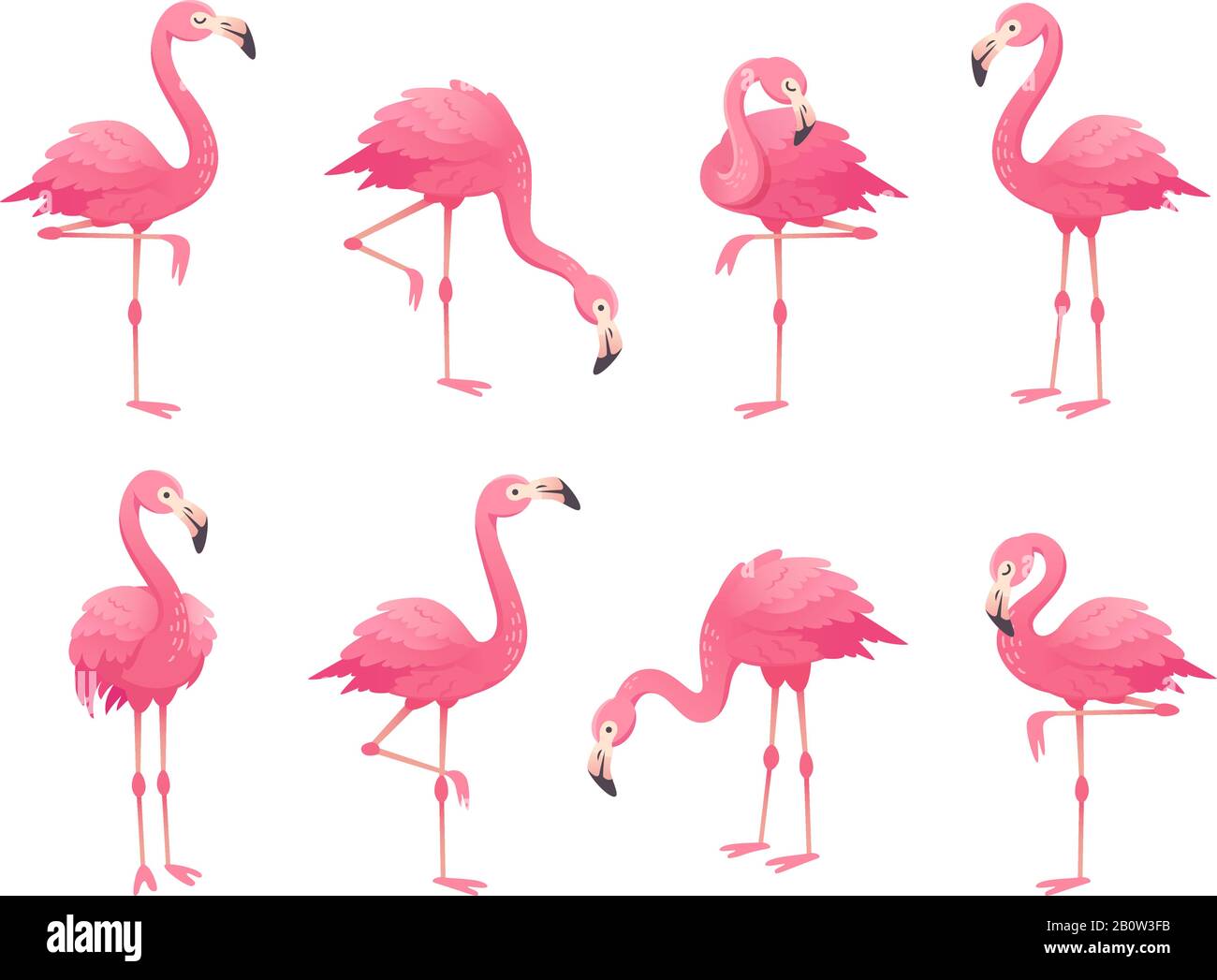 Exotische rosafarbene Flamingovögel. Flamingo mit Rosenfedern steht auf einem Bein. Rosige Gefiederblättrige Vektor-Illustration für Vogelperspektive Stock Vektor