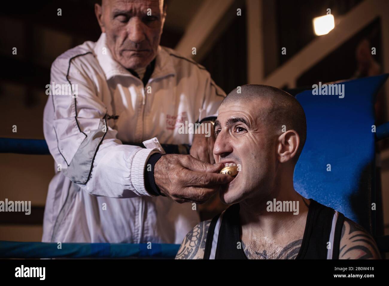 Boxtrainer entfernt Mundschutz vom tätowierten Boxer, der im Boxring sitzt. Stockfoto