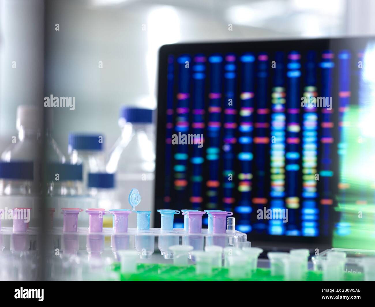 Nahaufnahme von DNA-Proben in Mikrozentrifugenröhrchen während eines Experiments im Labor mit dem DNA-Profil auf dem Monitorbildschirm. Stockfoto