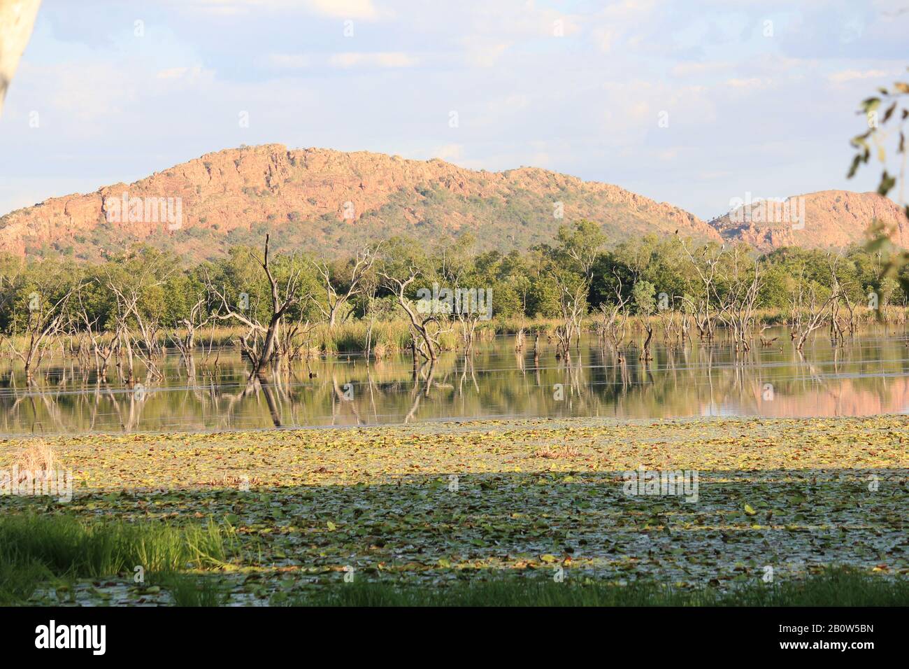 Kununurra Feuchtgebiete Western Australia Stockfoto