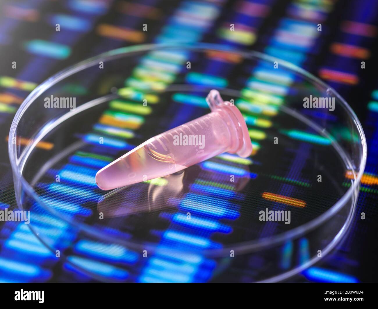 Nahaufnahme von DNA-Proben in Mikrozentrifugenröhrchen mit dem DNA-Profil auf einem Monitorbildschirm. Stockfoto