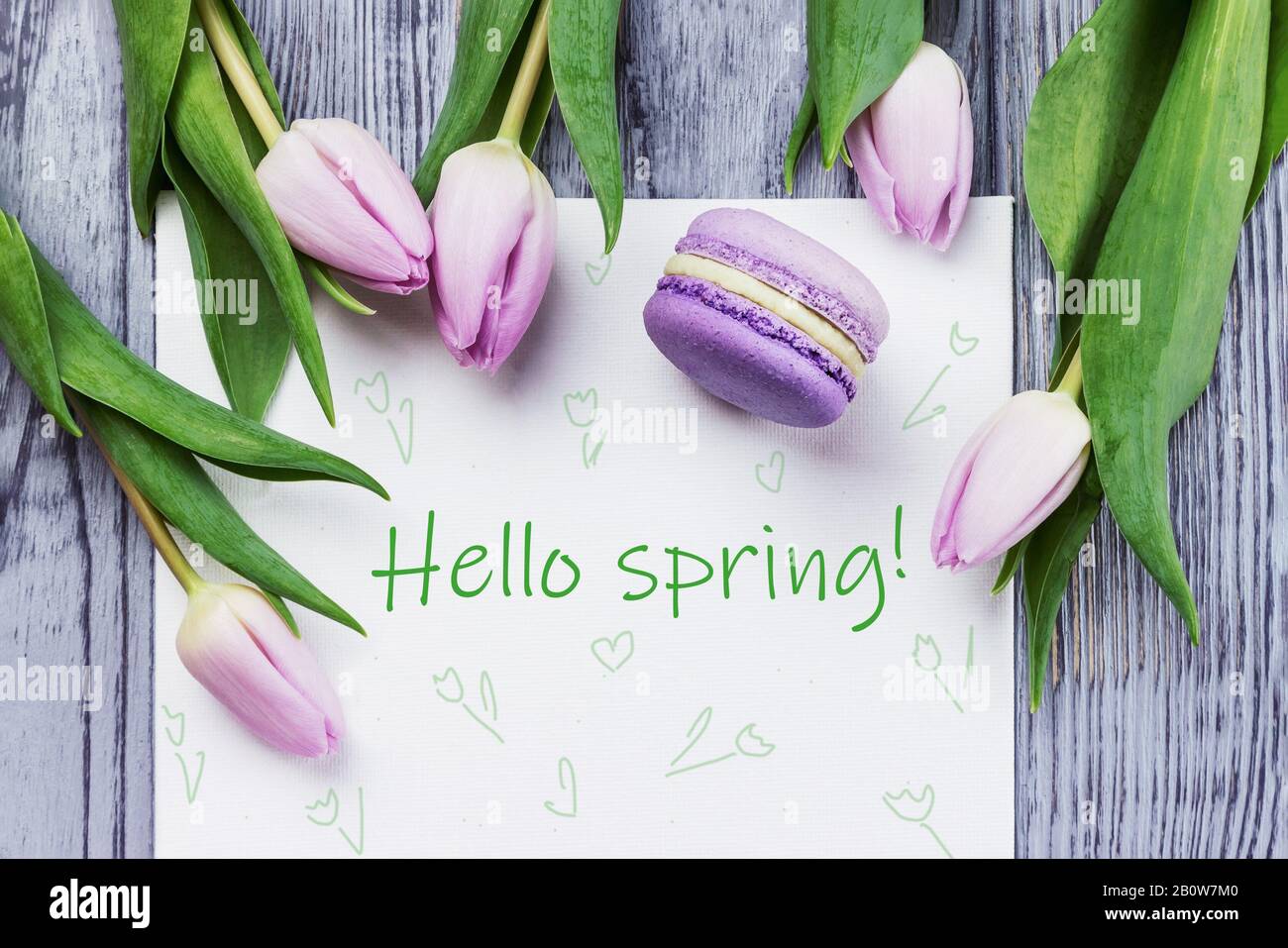 Hallo Federkarte. Frühlings-Rosa-Blumen Tulpen, violettes Makaron und weißes Blatt auf grauem Holzhintergrund. Draufsicht Stockfoto