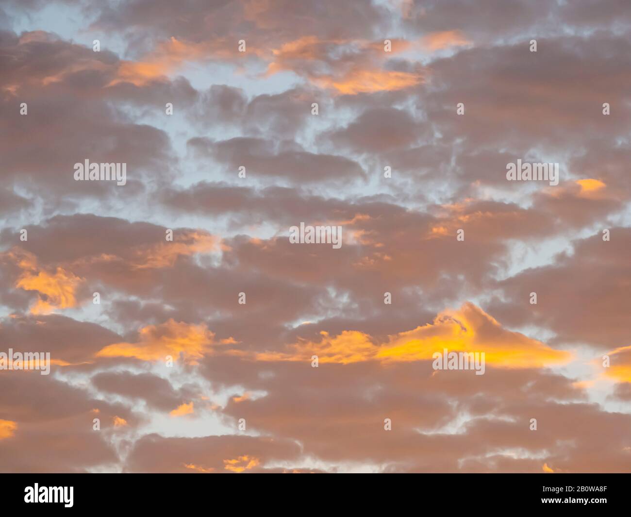 Rosarote Wolken sind ein hellblauer Himmel bei Sonnenaufgang Stockfoto