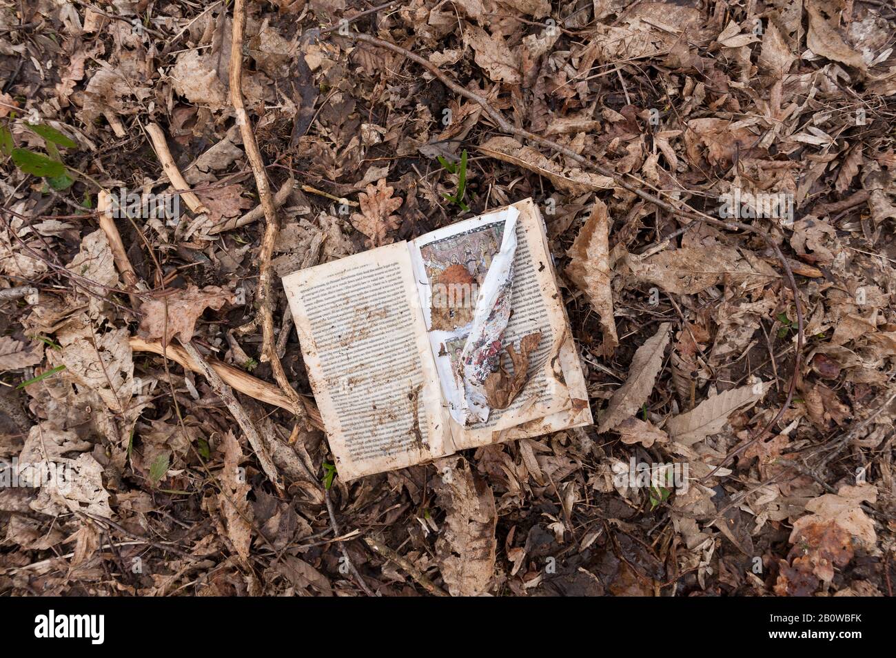 Ein Buch mit den harten Wirbelsäulen, das die jüdische Geschichte dokumentiert, die auf dem Waldboden verworfen wurde und feucht von Unwettern und Recycling zurück in die Umwelt schürte Stockfoto