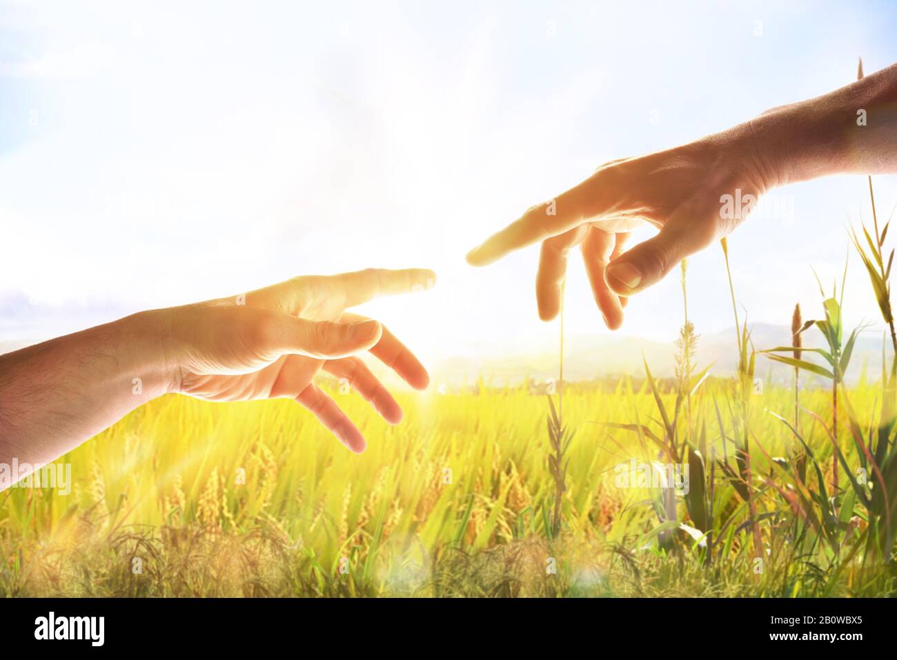 Hände mit Handflächen auf dem Feld mit Glitzern und Lichtstrahl. Darstellung des christlichen Konzepts der Erschaffung des Menschen auf der Erde Horizontale Kompos Stockfoto