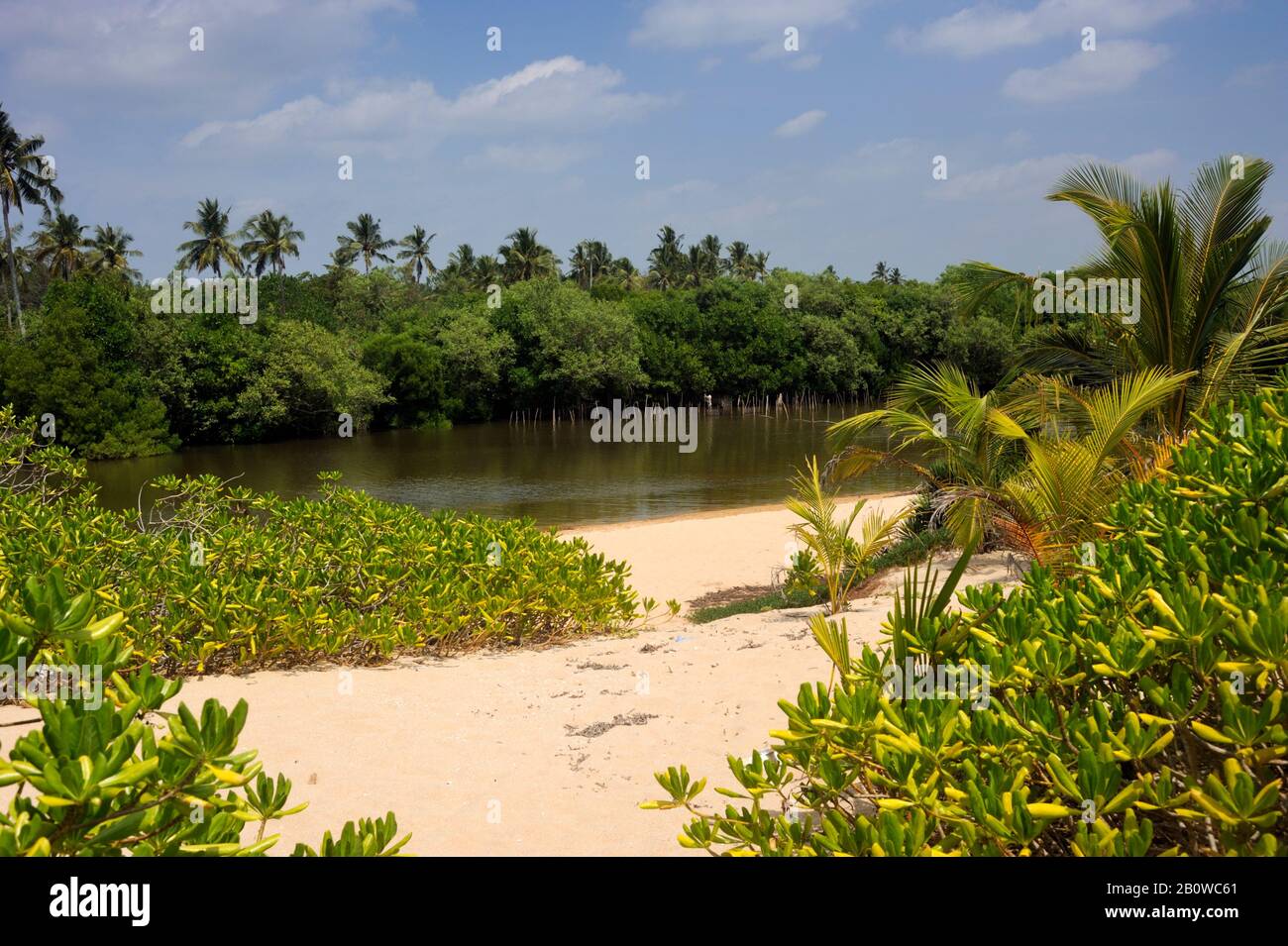 Sri Lanka, Tangalle, Lagune Stockfoto