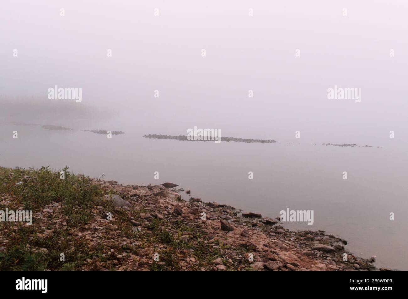 Dichter Morgennebel an einem Teich Stockfoto