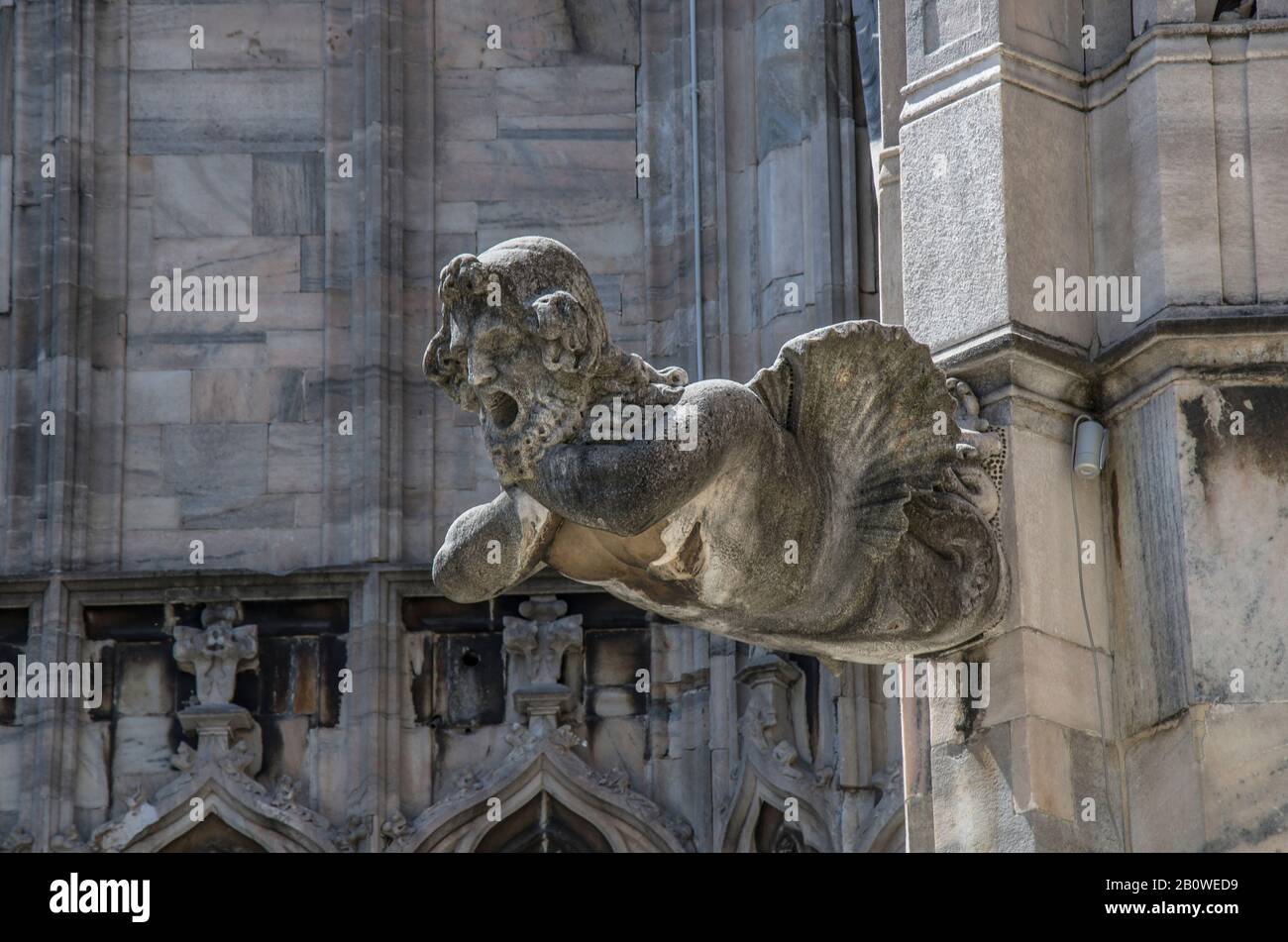 Wasserspeier am Mailänder Dom. Gotische Architektur. Mensch, Menschengewelle. In der Nähe einer Wasserspeier an der Außenfassade des Mailänder Doms Stockfoto