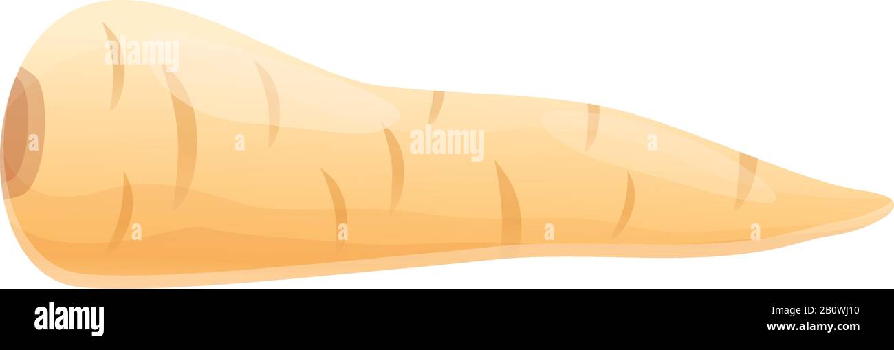 Parsnipsymbol für den Betrieb. Cartoon des Farm-Parsnip-Vektorsymbols für Web-Design isoliert auf weißem Hintergrund Stock Vektor