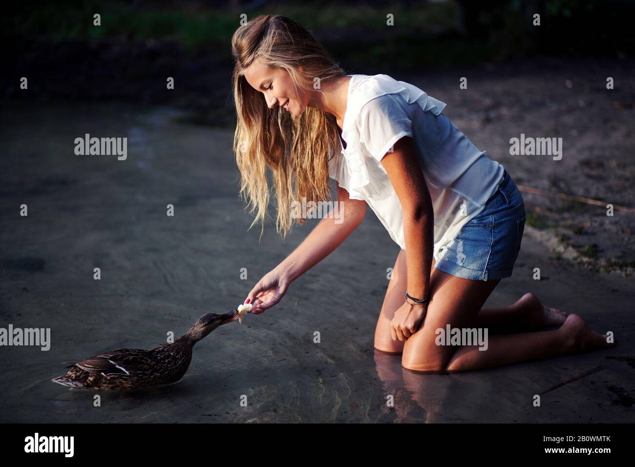 Junge Frau füttert eine Ente im Wasser Stockfoto