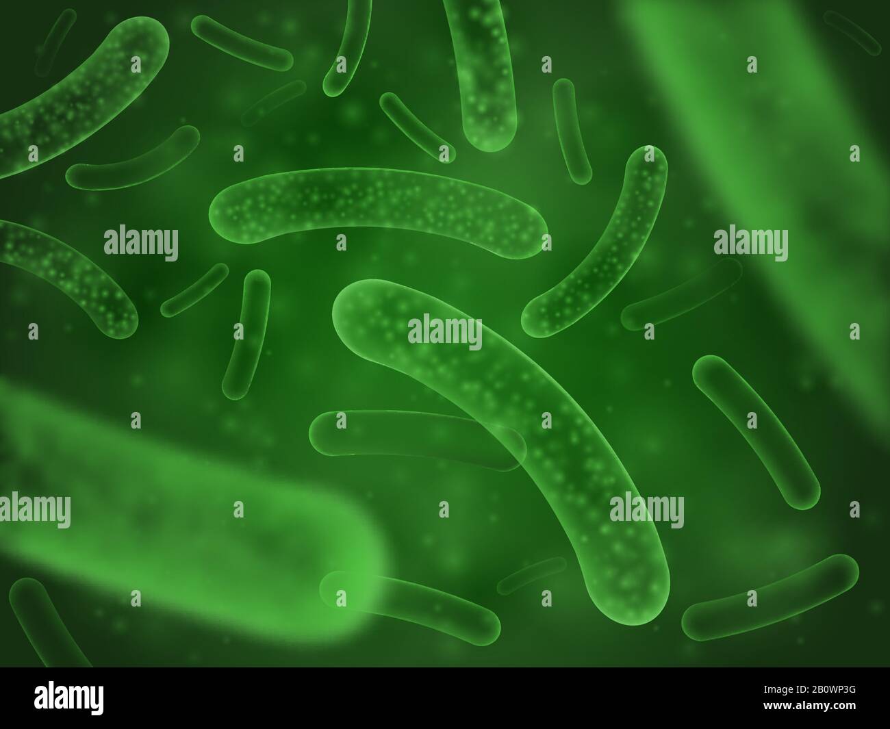 Biologisches Bakterienkonzept. Mikro probiotisches Lactobacillus grüner wissenschaftlicher abstrakter Hintergrund Stock Vektor