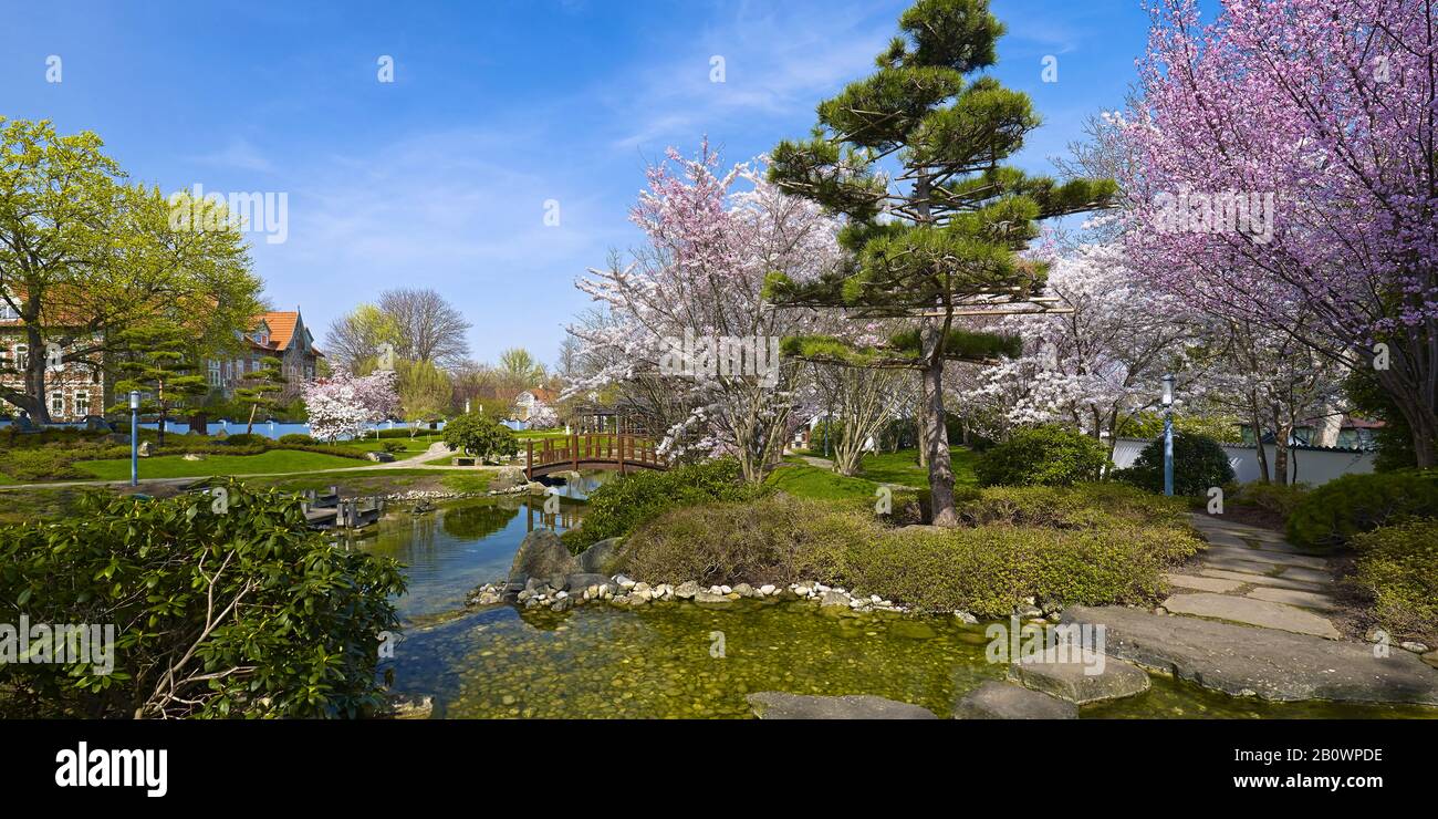 Japanischer Garten in Bad Langensalza, Thüringen, Deutschland, Europa Stockfoto