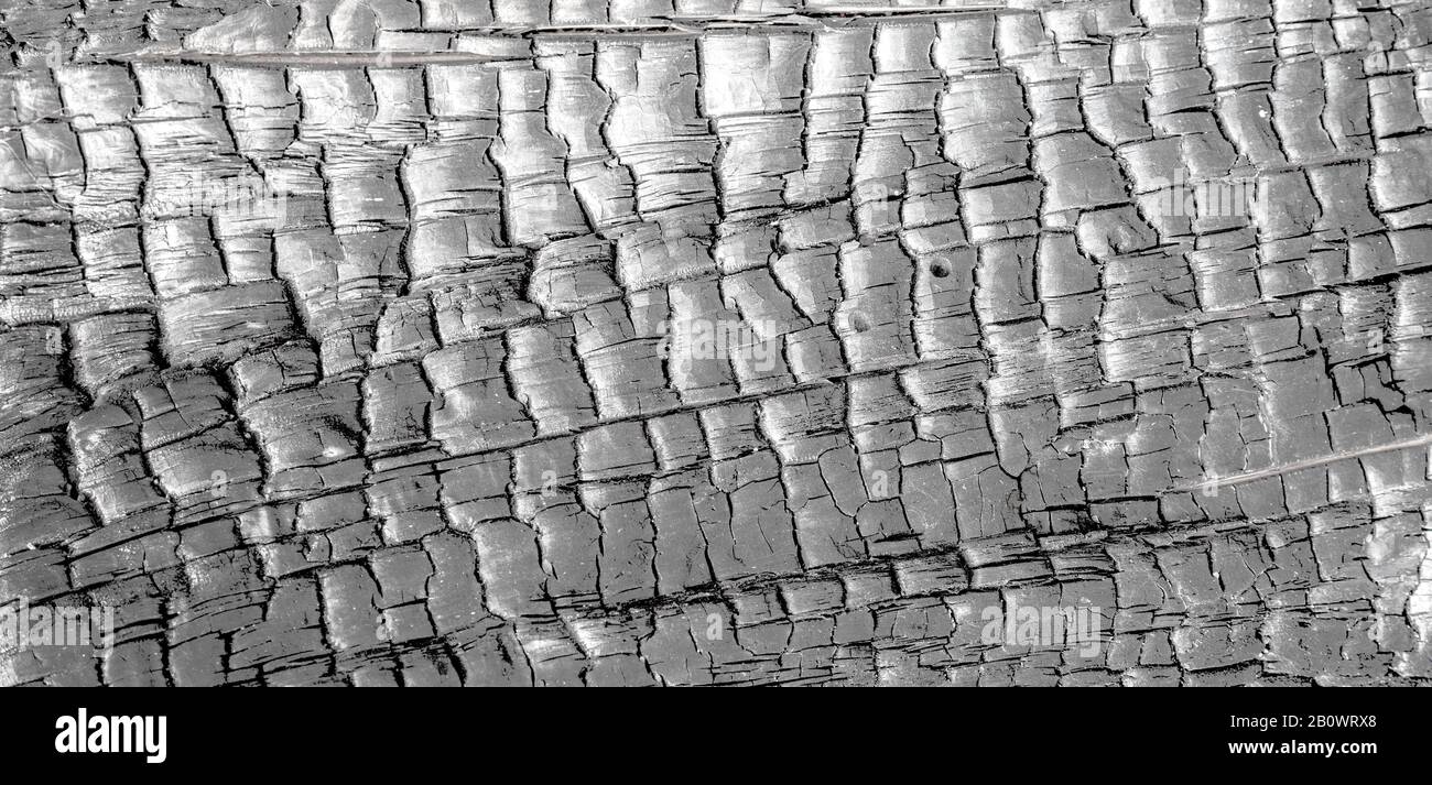 Verkohlter Holzklotz, schwarz gebranntes Baumstück als abstrakter Hintergrund oder Textur Stockfoto
