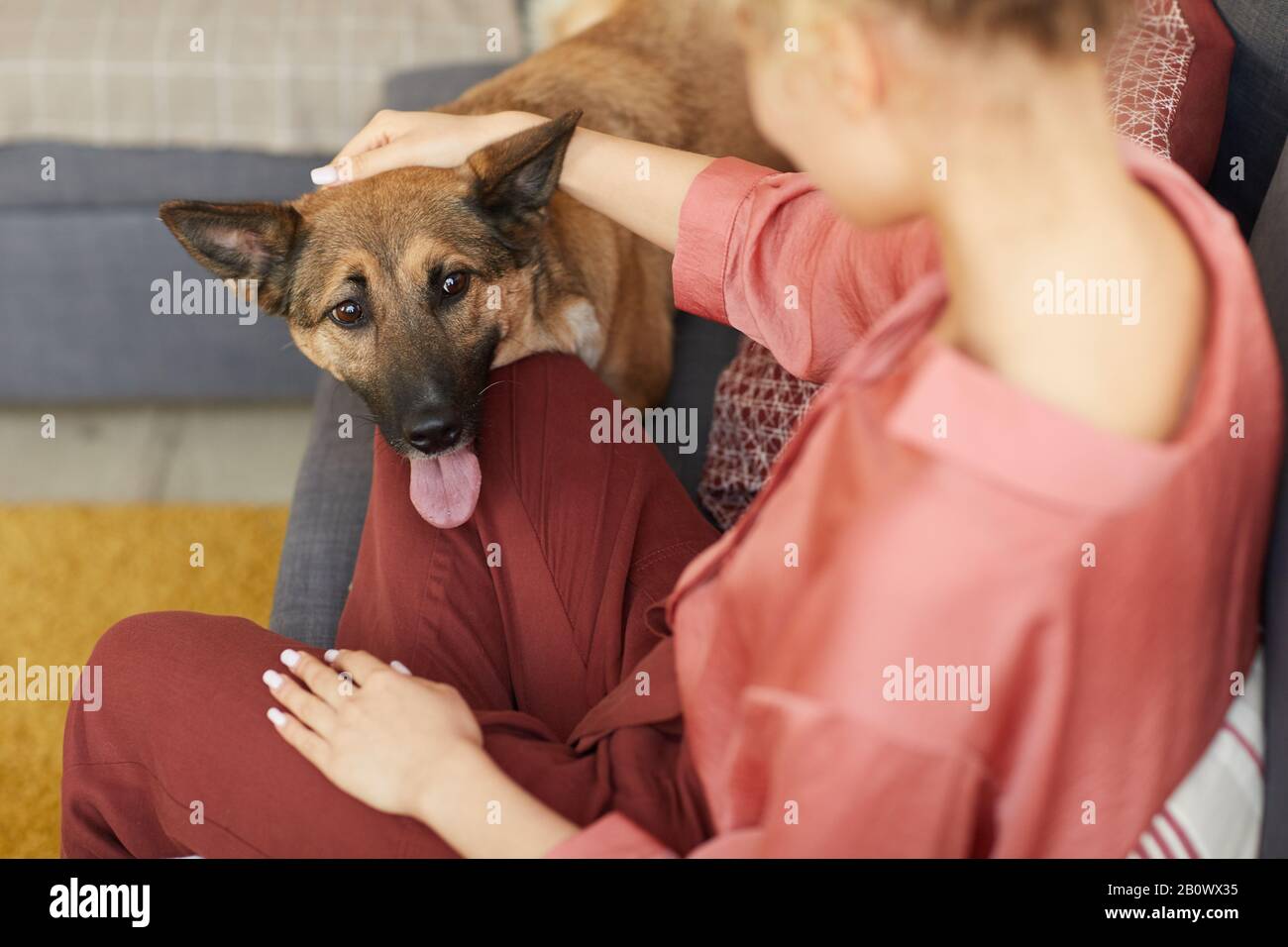 Nahaufnahme der jungen Frau, die auf dem Sofa sitzt und ihren Hund während ihrer Freizeit zu Hause streichelt Stockfoto