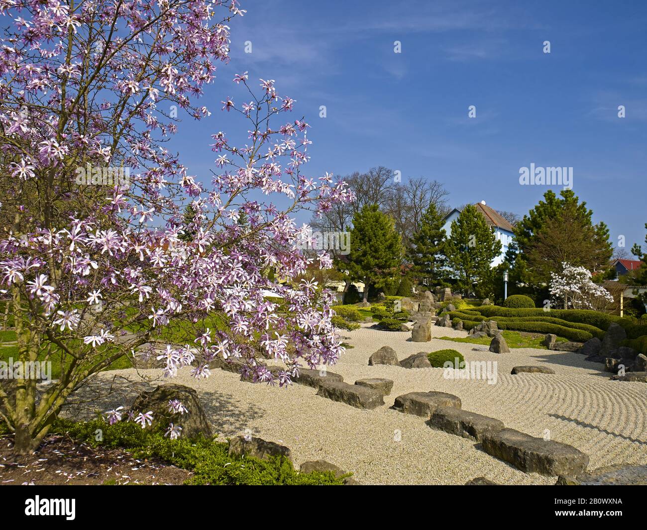 Japanischer Garten in Bad Langensalza, Thüringen, Deutschland, Europa Stockfoto