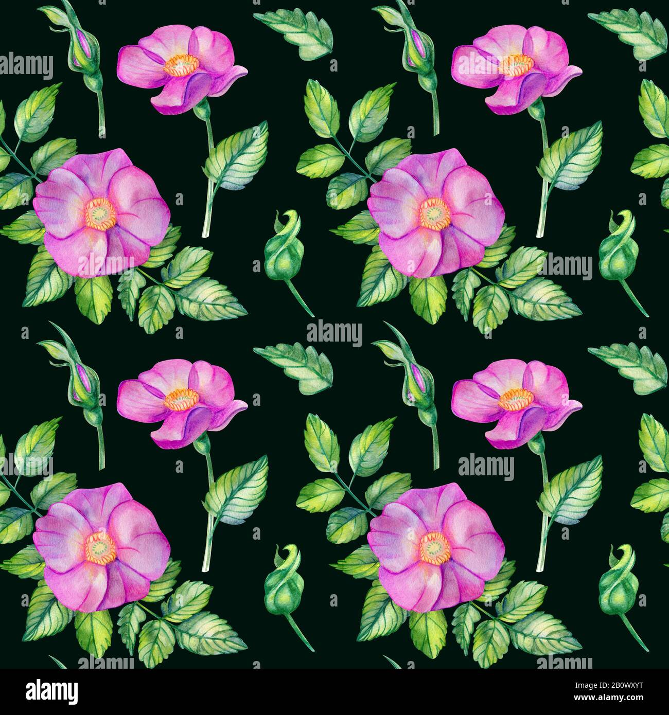 Nahtloses Wasserfarbenmuster mit Rosettenhüften. Rosa Blumen, Blätter, Blumensträuße auf schwarzem Hintergrund. Frühlingsdesign für Hochzeitseinladungen und soziales Netz Stockfoto