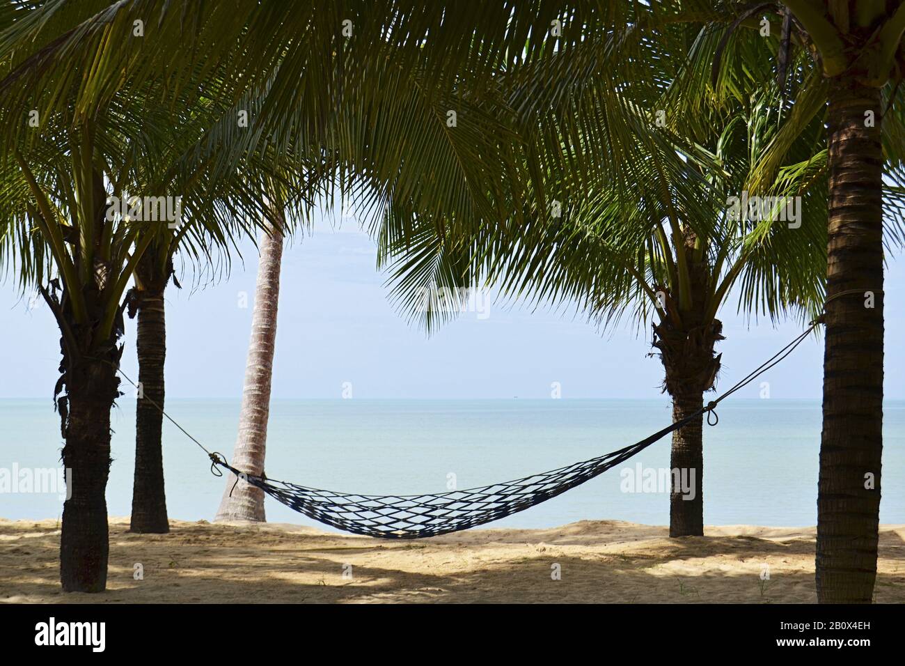 Hängematte an Palmen, Strand, Insel Kho Khao, Südthailand, Südostasien, Stockfoto