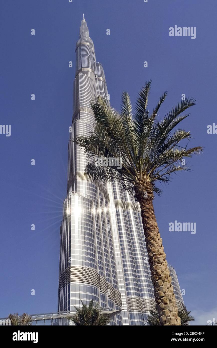Burj Khalifa hinter Palme, Architektur, Dubai Business Bay, Emirat Dubai, Vereinigte Arabische Emirate, Arabische Halbinsel, Naher Osten Stockfoto