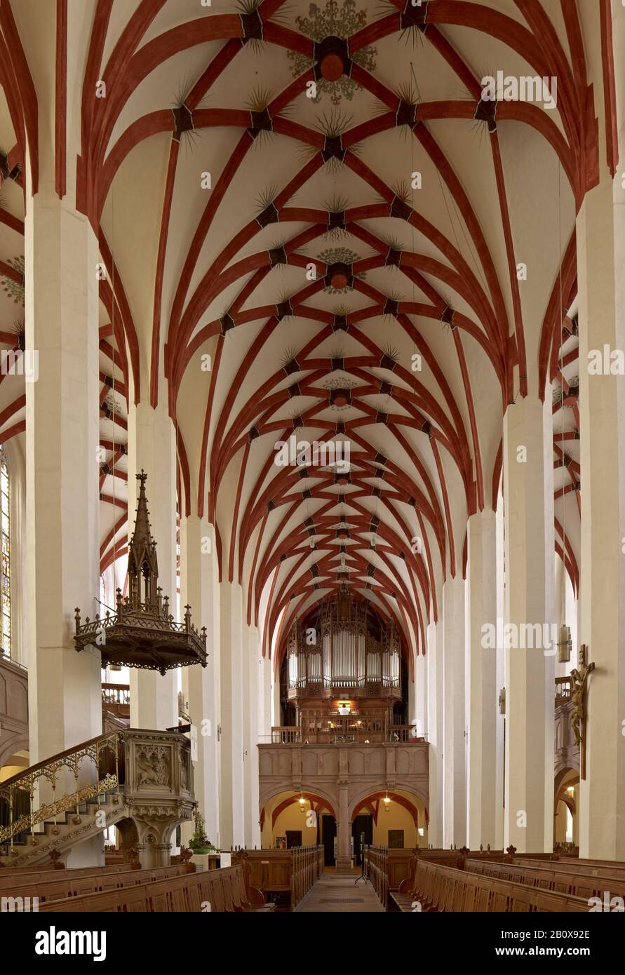 Innenansicht der Thomaskirche mit Orgel, Leipzig. Sachsen, Deutschland, Stockfoto