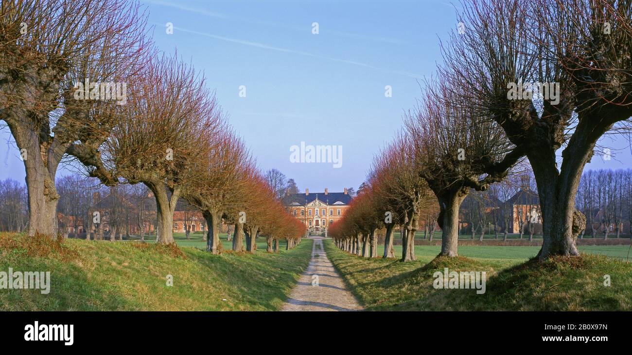 Schloss Klütz mit Weidenallee in Klütz, Mecklenburg-Vorpommern, Deutschland, Stockfoto