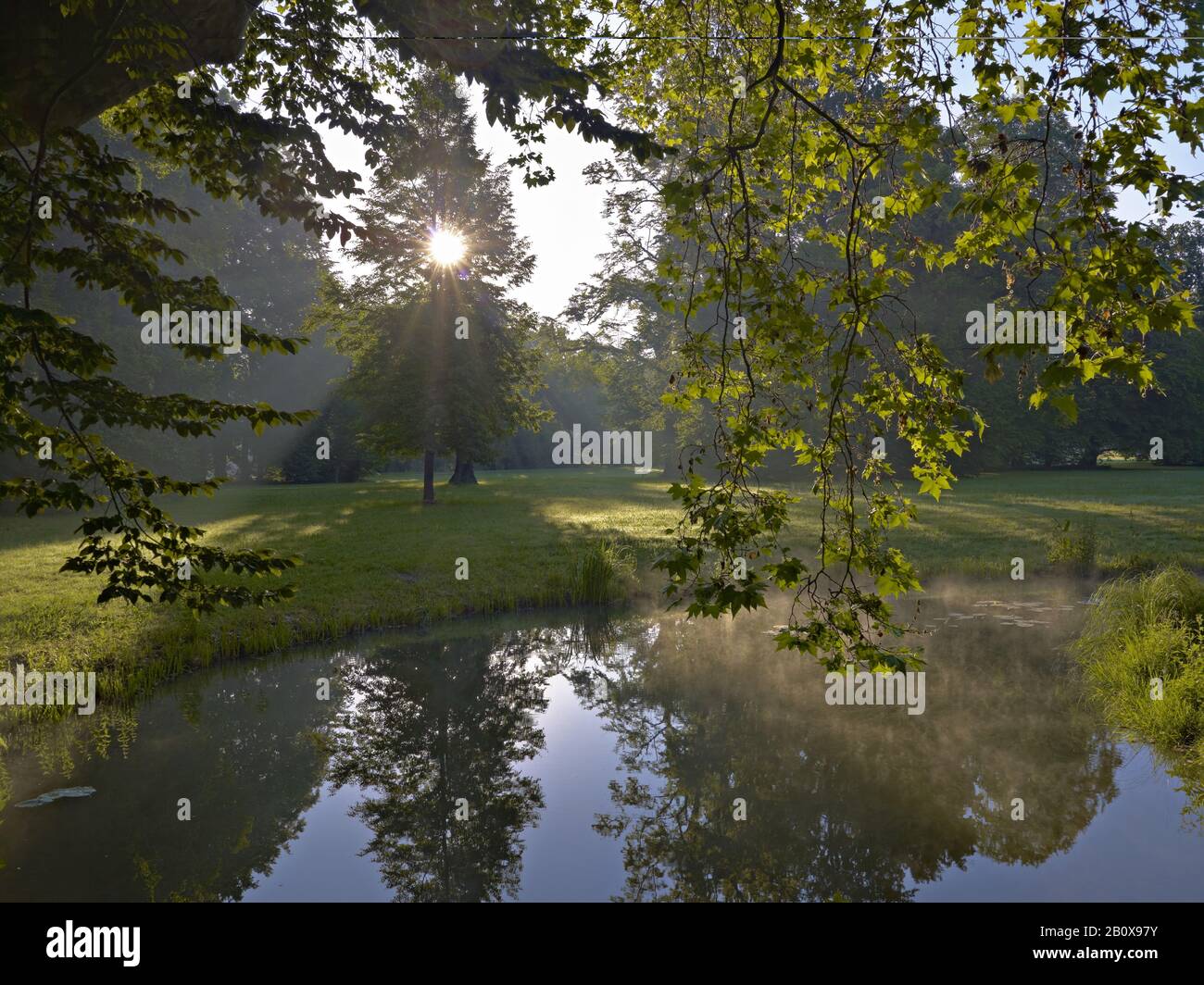Morgenlicht im Pücklerpark Bad Musau, Oberlausitz, Sachsen, Deutschland, Stockfoto