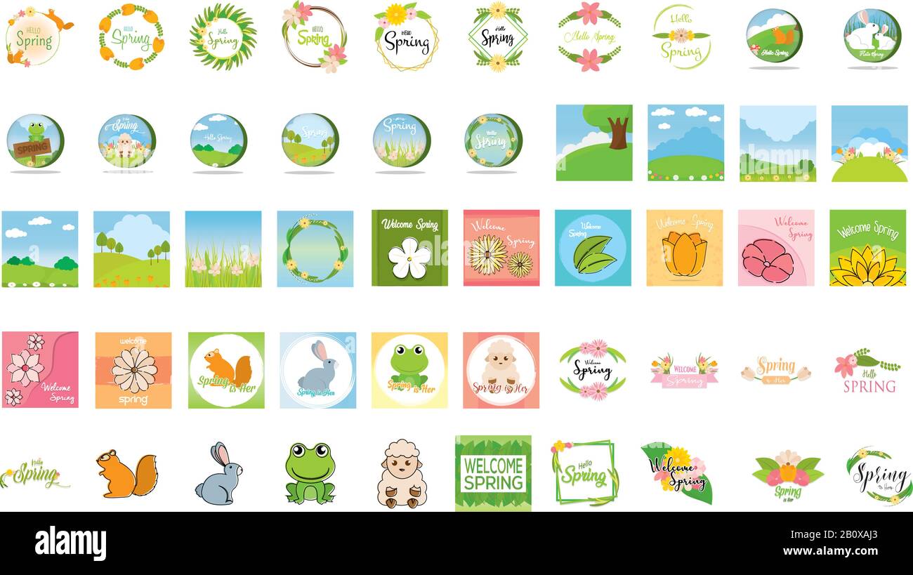 Satz mit Federbildern Stock Vektor