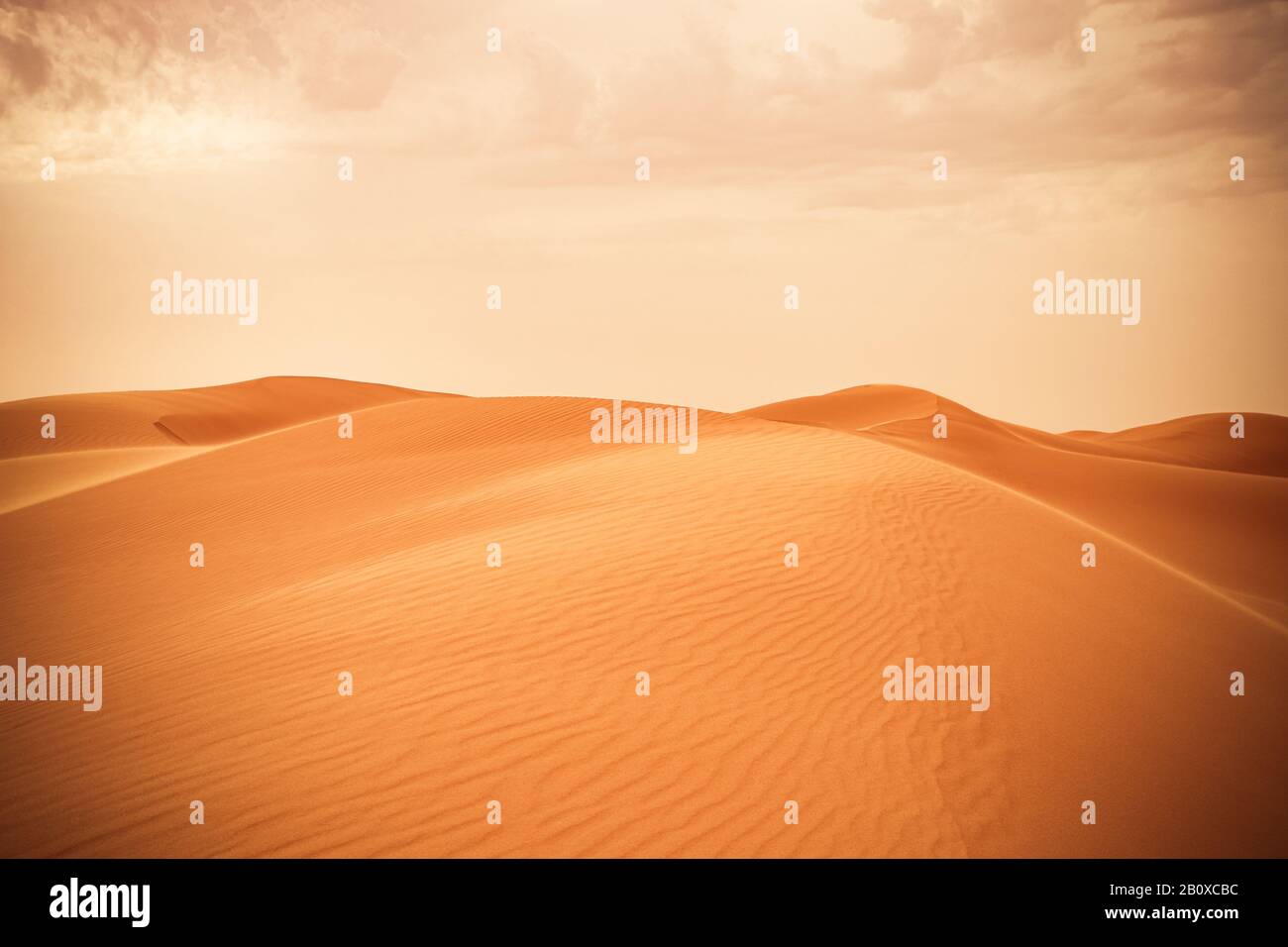 Sanddüne in der saudischen Wüste - schöne arabische Wüste صحراء الخليج العربي - شبه الجزيرة العربية - كثبان رملية - خلفيات Stockfoto