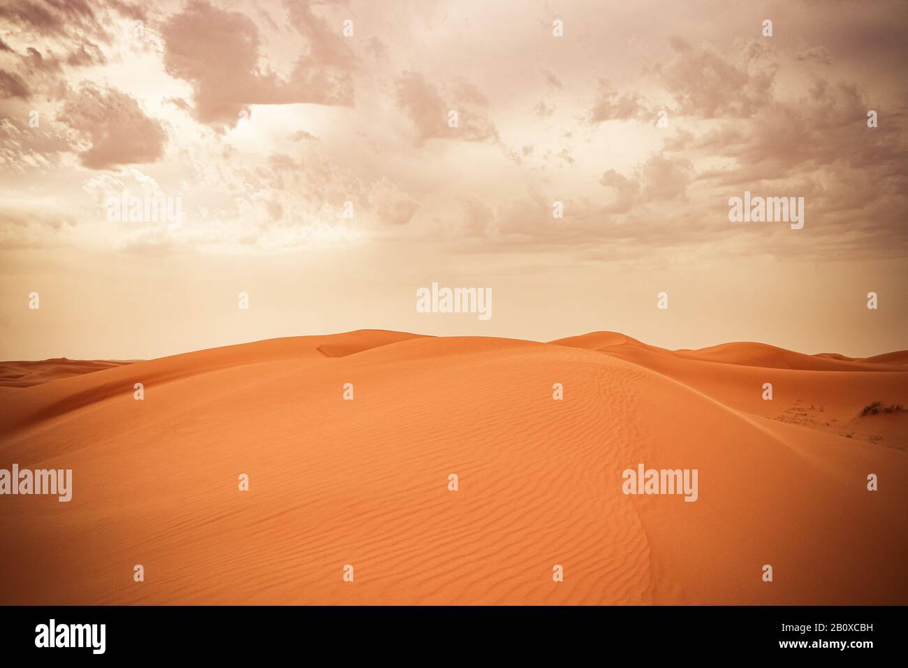 Sanddüne in der saudischen Wüste - Schöne arabische Wüste Stockfoto