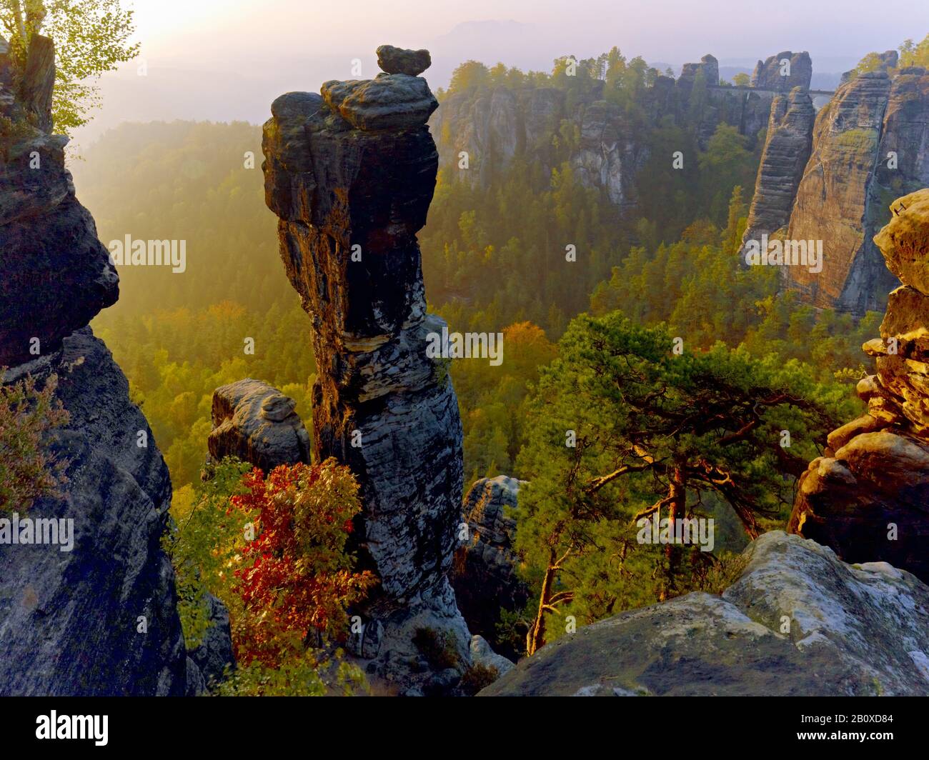 Die Nadel mit Bastion, die sächsische Schweiz, Sachsen, Deutschland, Stockfoto