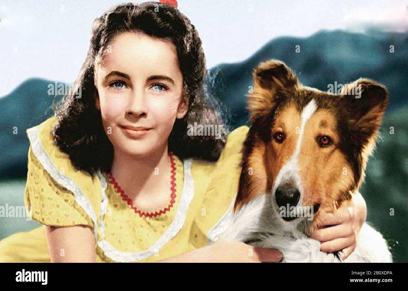 Lassie KOMMT 1943 MGM-Film mit Elizabeth Taylor NACH HAUSE Stockfoto