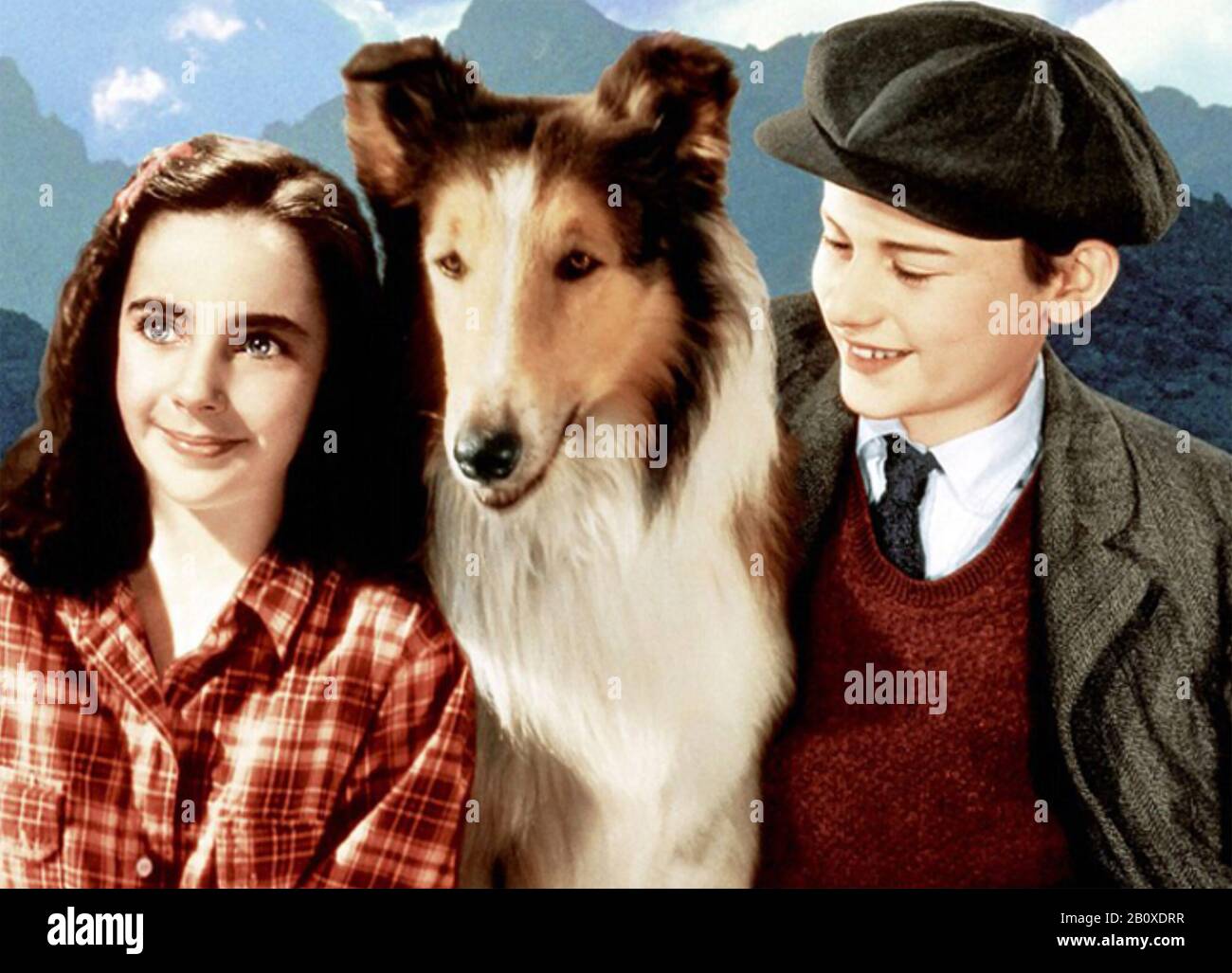 Lassie KOMMT 1943 MGM-Film mit Elizabeth Taylor und Roddy McDowall NACH HAUSE Stockfoto