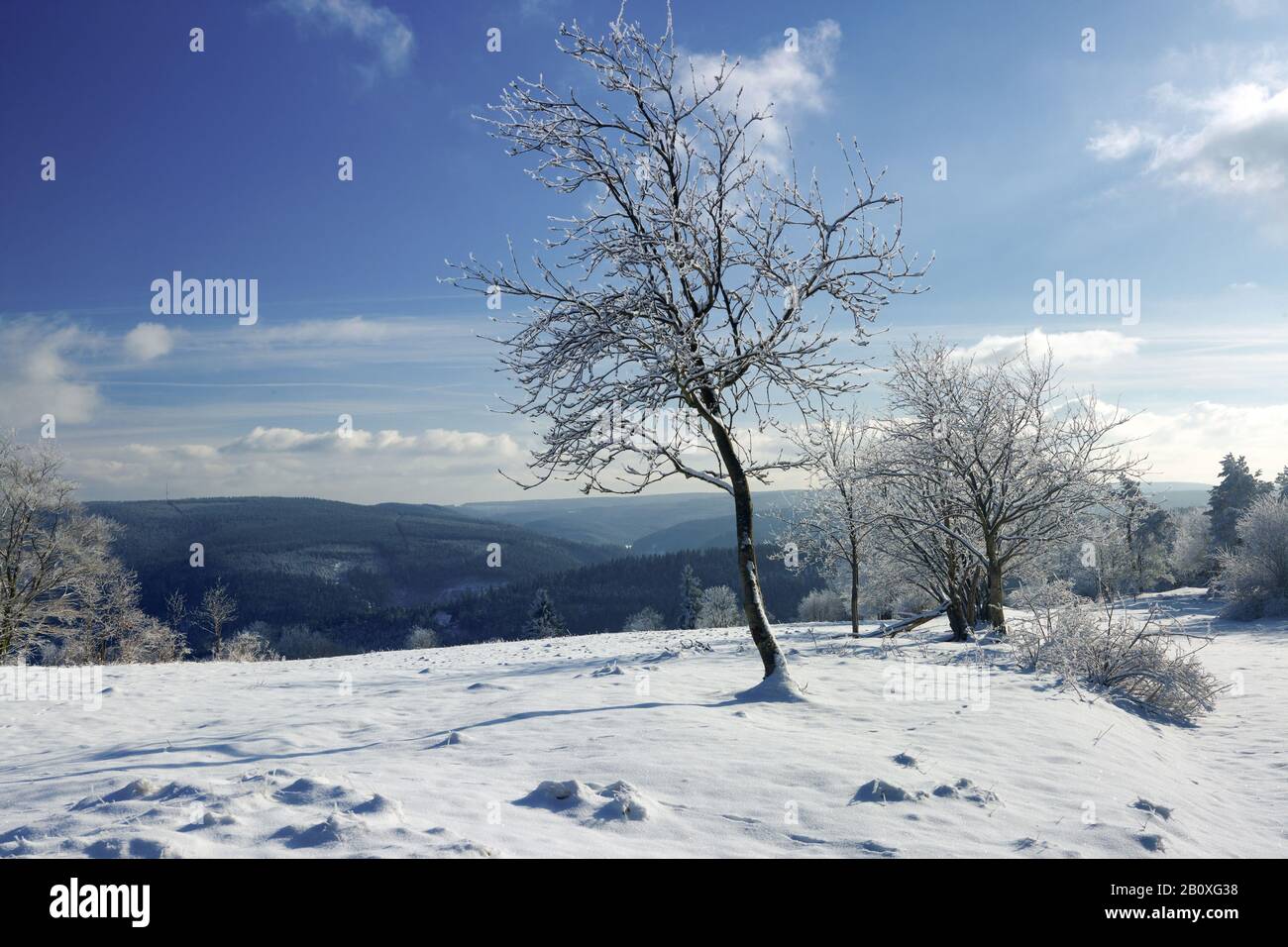 Grate des Thüringer Waldes bei Oberweißbach, Landkreis Saalfeld-Rudolstadt, Thüringen, Deutschland, Stockfoto