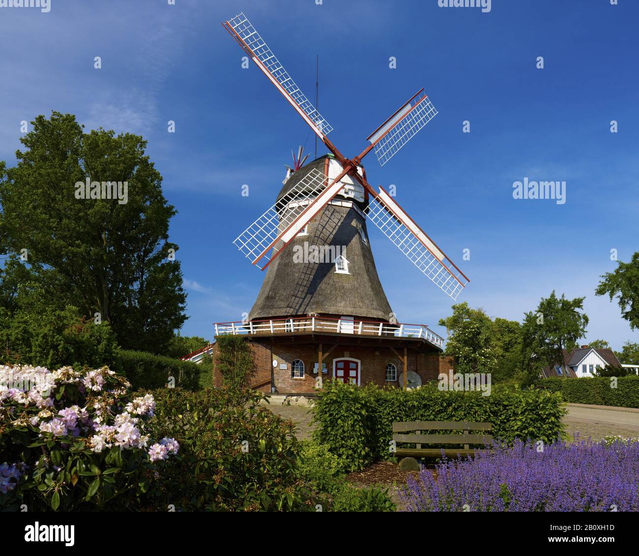 Windmühle in Bad Bederkesa, Niedersachsen, Cuxhaven, Deutschland, Stockfoto